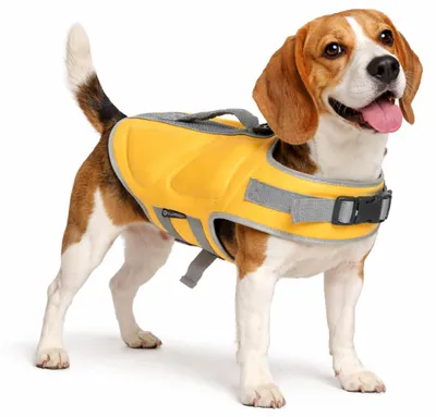 Produktbild von schwimmweste Hund - Flamingo Swimmy gelb - M A:32,5 cm B:43,5-54 cm C:58-69 cm -