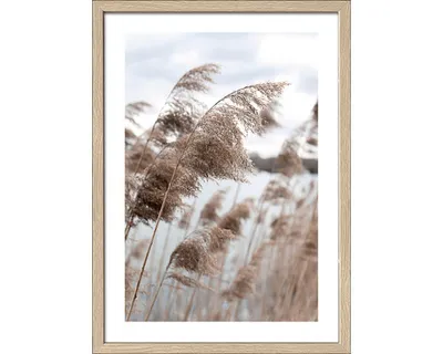 Produktbild von Gerahmtes Bild In The Breeze VI 33x43 cm