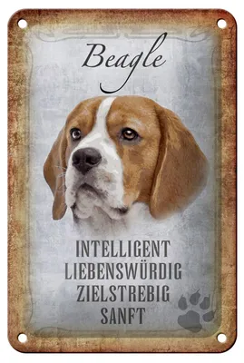 Produktbild von Blechschild Spruch 12x18cm Beagle Hund Schild