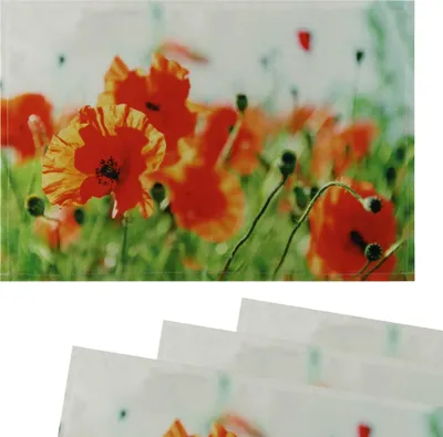 Immagine prodotto di Tovagliette tessili CLOTH papaveri fiori set di 4 45x30 cm
