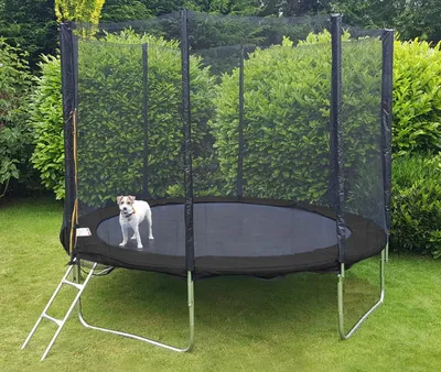 Produktbild von Trampolin 244 cm schwarz - mit Sicherheitsnetz - bis 110 kg
