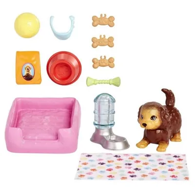 Produktbild von Barbie Zwierzątko + akcesoria HKD82