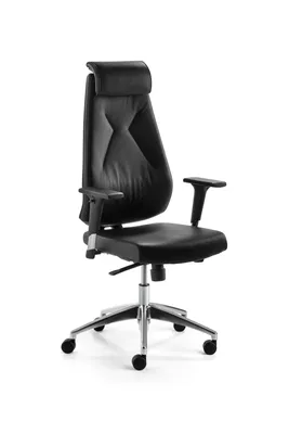 Productafbeelding van Mayer: Draaistoel met echt leder, zwart, model 2462