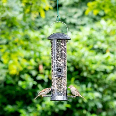 Productafbeelding van Zadensilo medium 40 cm Adventurer CJ Wildbird