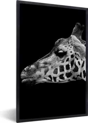 Produktbild von MuchoWow® Gerahmtes Poster Tiere - Giraffe - Schwarz - Weiß 60x90 cm - Poster mit Schwarzem Bilderrahmen Wandposter Rahmen Foto Bilder - Kunst