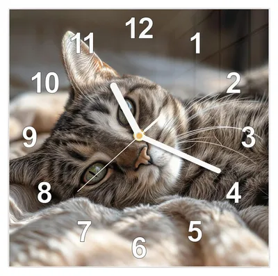 Produktbild von Wanduhr aus Glas mit Motiv Gemütliche Katze- 30 x 30 cm - inkl. Aufhängesystem