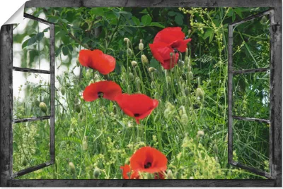 Produktbild von ARTland Poster Fensterblick - Klatschmohn Größe: 90x60 cm