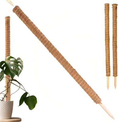Produktbild von Erweiterbare Rankhilfe Kokosstab 110 cm mit Kokosfilz für Zimmerpflanzen