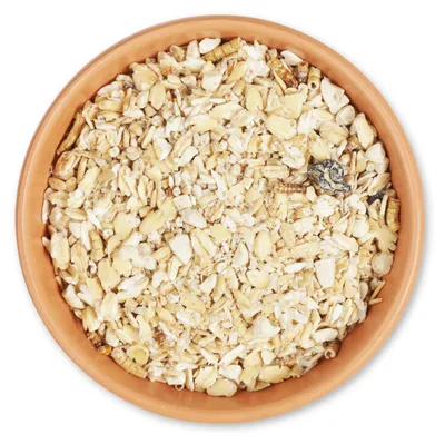 Produktbild von Premium Fettfutter mit Mehlwürmern 2,5 kg