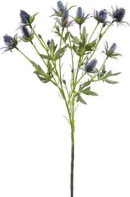 Produktbild von artplants.de Kunstzweig Edeldistel CUACOS, blau, 70cm - Dekozweig Eryngium/Seidenpflanze