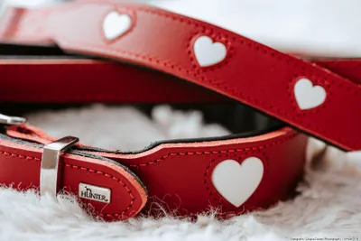 Produktbild von HUNTER Verstellbare Führleine Love 13/200, rot/schwarz