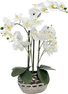 Produktbild von Kunst-Pflanze Orchidee ovaler Topf silber hochglanz und weiße Blüten 53cm hoch