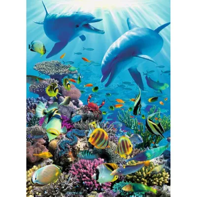 Immagine prodotto di Puzzle RAVENSBURGER Avventura subacquea XXL 300 pezzi