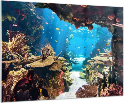 Produktbild von Bilder auf glas - Ozean Riff Fische Koralle - 100x70cm - Glasbilder - Wandbilder - Kunstdruck - zum Aufhängen bereit - Wanddekoration aus Glas - Glas Bilder - Wandbild auf Glas - GAA100x70-2872