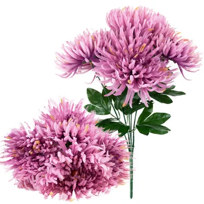 Produktbild von Großer Strauß Chrysanthemen, 5 Blumen – Riesige Blütenköpfe