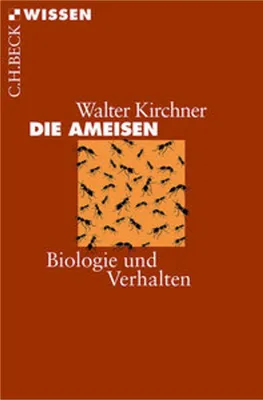 Image de Die Ameisen