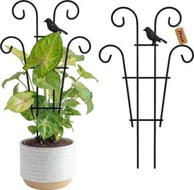 Produktbild von Rankgitter für Zimmerpflanzen mit Vogelmotiv, kleines Metall-Rankgitter für Kletterpflanzen, Rankhilfe für Efeutute (Hoya), 2er-Pack