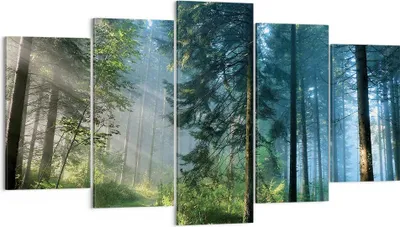 Produktbild von Bild auf Leinwand - Leinwandbild - 5 Teile - Wald Dämmerung die Sonne - 160x85cm - Wand Bild - Wanddeko - Wandbilder - Leinwanddruck - Bilder - Wanddekoration - Leinwand bilder - EA160x85-4398