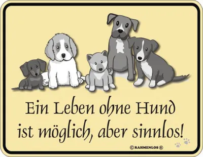 Produktbild von Blech-Schild Blechschild mit Spruch Ein Leben ohne Hund 22x17 cm