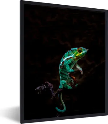 Produktbild von MuchoWow® MuchoWow® Gerahmtes Poster Sitzendes Chamäleon 30x40 cm - Poster mit zchwarzem Bilderrahmen - Wanddeko - Kunstdrucke