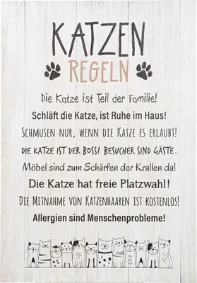 Obrázok produktu pre GILDE Schild, rechteckig, "Katzenbande", Spruch, MDF, creme, VE 3, L. 1.5 cm, B. 36 cm, H. 50 cm