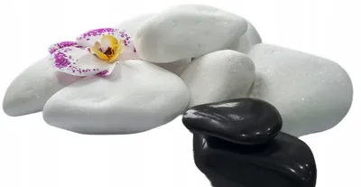 Produktbild von THASSOS WHITE COBBLE 1kg, Stein 3-6cm, GLÄNZENDER STEIN, Dekostein, Stein für Gabionen, Stein für Töpfe
