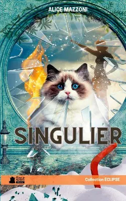 Produktbild von Singulier