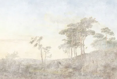 Produktbild von Tadessi Fototapete | Wald | 4.00 m  x 2.70 m | Beige | Grau | Wandbild | Digitaldruck
