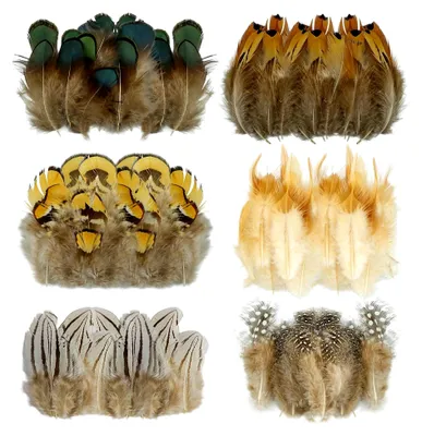 Produktbild von 200 Stück Bastelfedern, 6 Stile natürliche gemischte Deko für DIY Traumfänger, Ohrringe, Hüte, Masken, Ostern, Karneval, Halloween