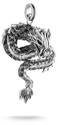 Productafbeelding van Thomas Sabo - PE973-691-11 - Hanger - Mixte - Rebellious Glam