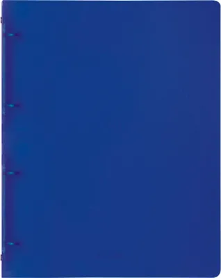 Immagine prodotto di 10XBRUNNEN 106554630 RingbA4 16mm 4R blau