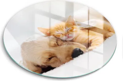Produktbild von Glasschneideplatte - Herdabdeckplatte - fi40 cm -Schneidebrett - Spritzschutz - Tiere Hund und Katze