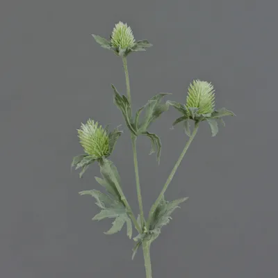 Produktbild von artplants.de Künstliche Edeldistel Svea, 3 Blüten, grün, 40cm - Kunstblume - Textilblume