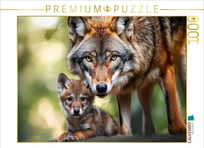 Produktbild von CALVENDO Puzzle Wölfe | 1000 Teile Lege-Größe 64x48cm Foto-Puzzle für glückliche Stunden