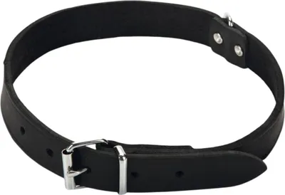 Produktbild von Beeztees Hundehalsband Leder schwarz, Verstellmöglichkeit: 47 - 57 cm