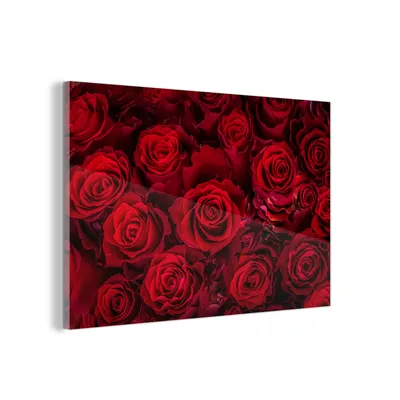 Obrázek produktu pro MuchoWow® Obrazy na skle - Nástěnné obrazy - Fotografie na skle Květiny - Růže - Červená 90x60cm Nástěnná dekorace ze skla - akrylová malba na sklo - akrylové
