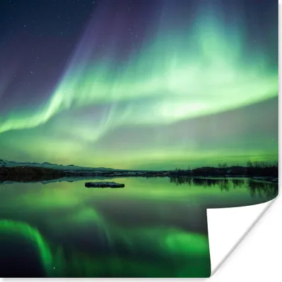Produktbild von MuchoWow® Poster Nordlicht - See - Island - Grün - Wald - Schnee 75x75 cm - Wand Dekoration