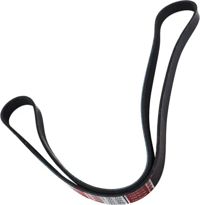 Immagine prodotto di Cinghia trapezoidale MS 6PK1600-PCS-MS, cinghia piatta per VW PASSAT B7 (362)
