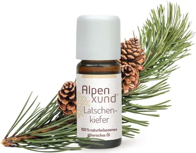 Immagine prodotto di 10 ml di olio di pino mugo
