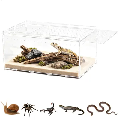 Produktbild von Transparentes Acryl-Terrarium für Kleintiere