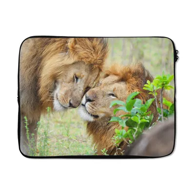 Produktbild von MuchoWow® Laptop Hülle 17 Zoll Laptoptasche Löwen - Gras - Tiere - Zipper - Schutzabdeckung