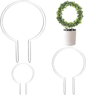 Image de Ensemble de jardinières rondes en acrylique pour plantes grimpantes