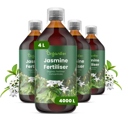 Produktbild von Jasmine Flüssigdünger 4x1L – 2-1-8 NPK – Flüssig-Pflanzendünger für Kletterpflanzen, Beet- & Kübelbepflanzung – Organifer