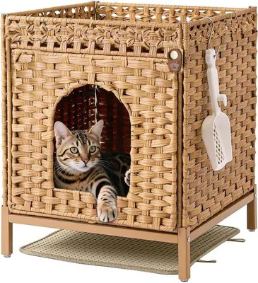 Imagen del producto de Jaula para gatos - Casita para gatos - Reforma de jaula para gatos - Espacio para gatos