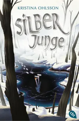 Produktbild von Silberjunge