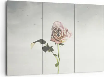 Produktbild von Bild auf Leinwand - Leinwandbild - 3 Teile - Rose Vögel Himmel - 165x110cm - Wand Bild - Wanddeko - Wandbilder - Leinwanddruck - Bilder - Wanddekoration - Leinwand bilder - Wandbild - CE165x110-4509