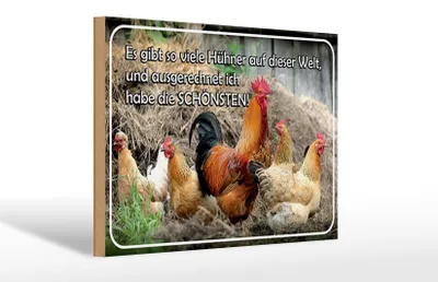 Produktbild von Holzschild Spruch 30x20cm es gibt so viele Hühner und