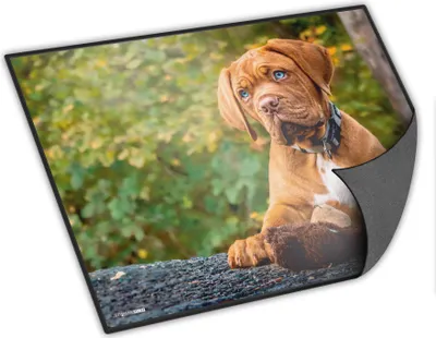 Produktbild von itenga Schreibunterlage Hund 400 x 530 mm