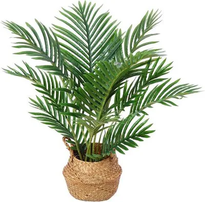 Zdjęcie produktu dla Duża sztuczna palma 60 cm – dekoracja z tworzywa sztucznego
