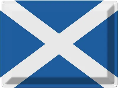 Zdjęcie produktu dla vianmo Blaszany znak 30x40 cm Schottlands Flag of Scotland